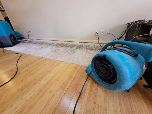 Professional Sewage Cleanup technician working in Pocahontas, TN